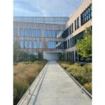 Iovance Exterior of Courtyard