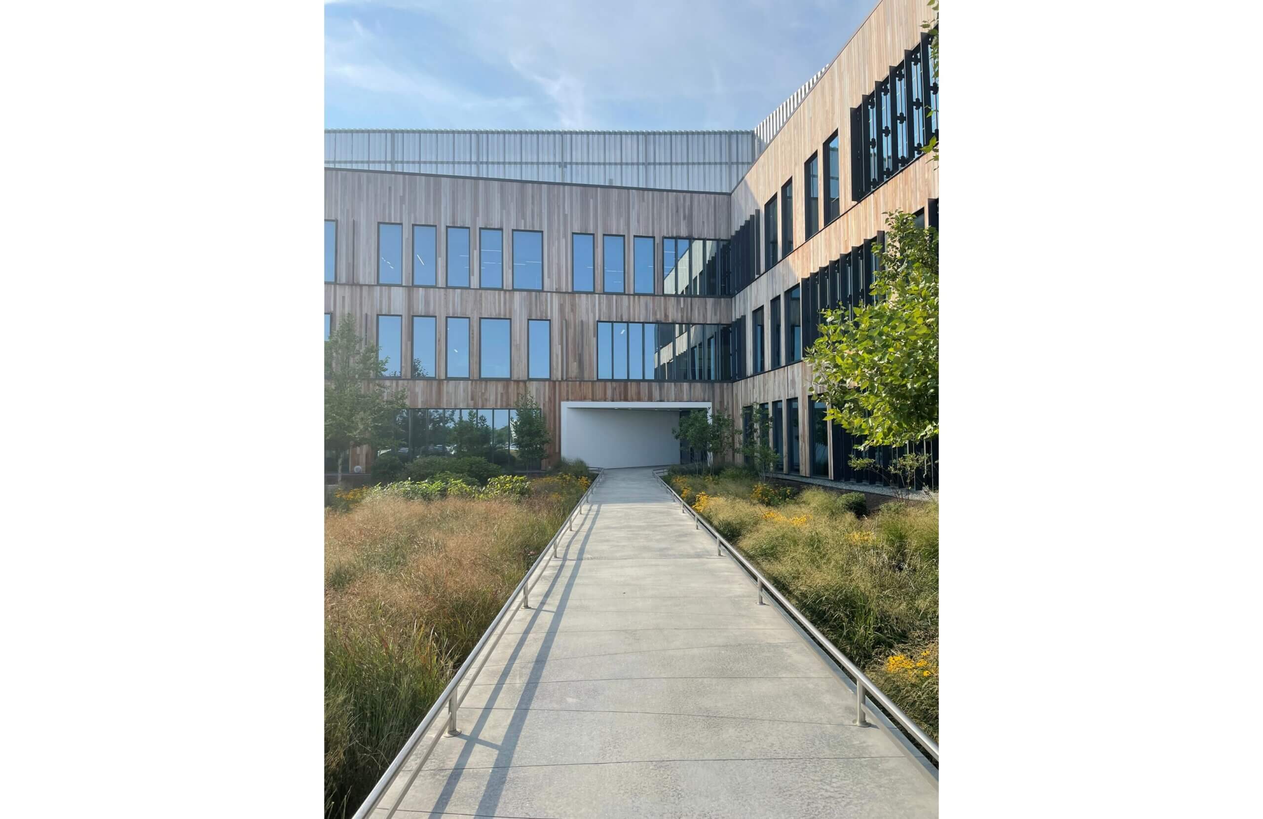 Iovance Exterior of Courtyard