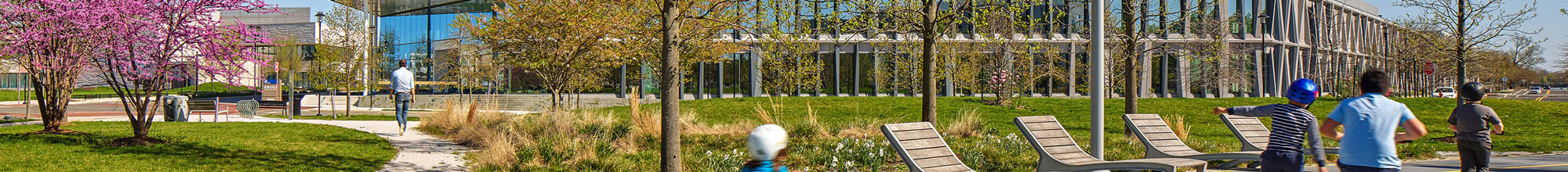 lush trees and community in front of Iovance life sciences